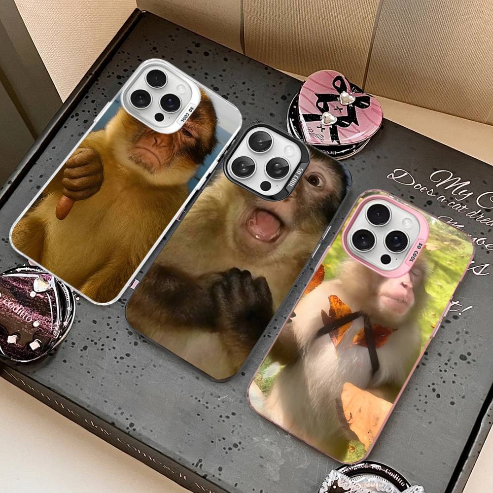 Populaire internet M-Monkey M- - Phone Cases Iphone 13 recensie en prijs