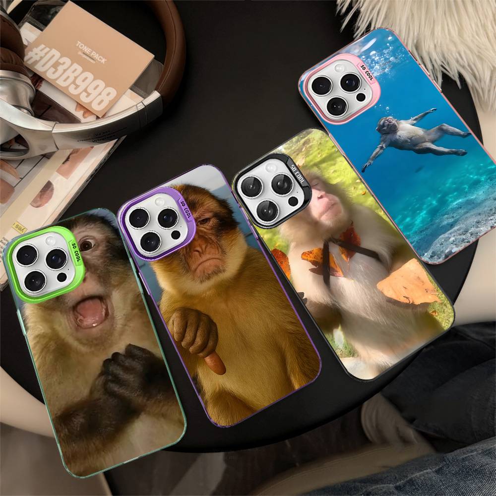 Populaire internet M-Monkey M- - Phone Cases Iphone 13 recensie en prijs